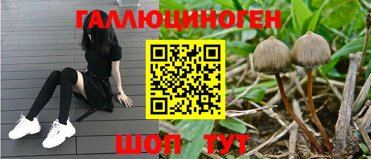 Псилоцибиновые грибы MAGIC MUSHROOMS Шадринск