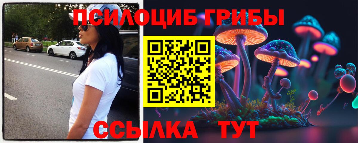 Галлюциногенные грибы ЛСД  закладки  Шадринск  Вход с VPN 